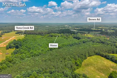 451 Toms Creek Rd Highway 145 Road, Martin, GA 30557 - Photo 56