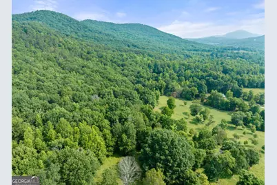 0 Partin Road LOT #1, Cleveland, GA 30528 - Photo 8