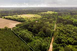 251 J. M. Royal Ln, Statesboro, GA 30458 - Photo 1