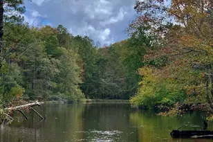 193 Griswoldville Short Cut, Macon, GA 31217 - Photo 1