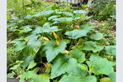 193 Griswoldville Shortcut, Macon, GA 31217 - Photo 18