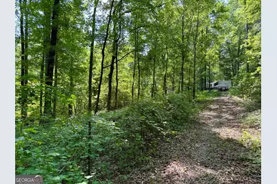 193 Griswoldville Shortcut, Macon, GA 31217 - Photo 4