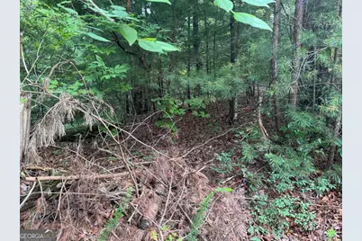 793 Woodbine Lane, Ranger, GA 30734 - Photo 12