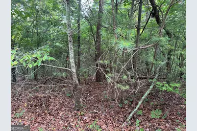 793 Woodbine Lane, Ranger, GA 30734 - Photo 8