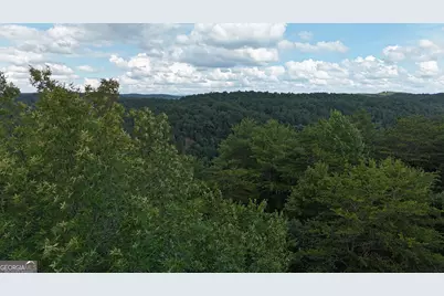 793 Woodbine Lane, Ranger, GA 30734 - Photo 4