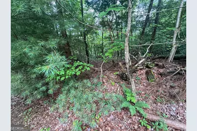 793 Woodbine Lane, Ranger, GA 30734 - Photo 10