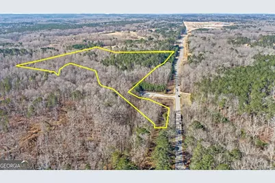 0 Hampton Locust Grove Road, Hampton, GA 30228 - Photo 1