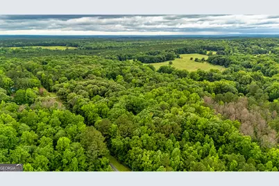 0 Trisha Lane, Grantville, GA 30220 - Photo 4