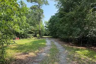 2590 US Hwy 129, Jeffersonville, GA 31044 - Photo 10