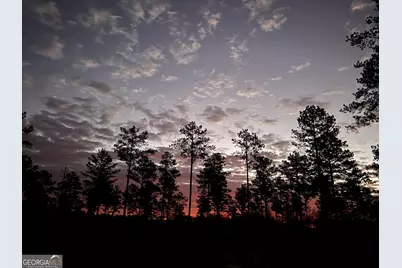 335 Highway 26, Elko, GA 31025 - Photo 1