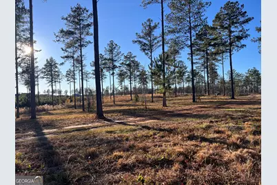 335 Highway 26, Elko, GA 31025 - Photo 14