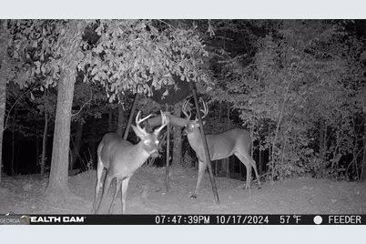 335 Highway 26, Elko, GA 31025 - Photo 4