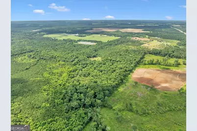 335 Highway 26, Elko, GA 31025 - Photo 54