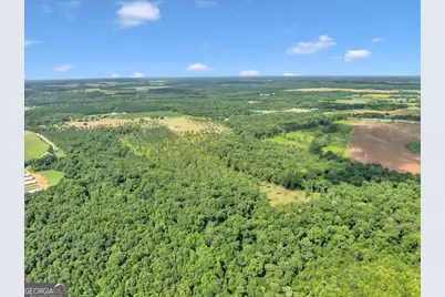 335 Highway 26, Elko, GA 31025 - Photo 52