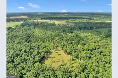 335 Highway 26, Elko, GA 31025 - Photo 34