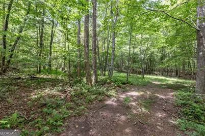 26.18 Ac Green Road, Young Harris, GA 30582 - Photo 24