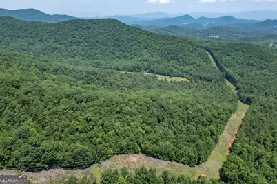 26.18 Ac Green Road, Young Harris, GA 30582 - Photo 48