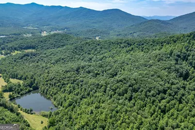 26.18 Ac Green Road, Young Harris, GA 30582 - Photo 36