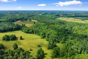 429 Hubert Harris Rd, Cornelia, GA 30531 - Photo 88