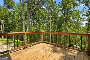 558 Tipton Springs Rd, Morganton, GA 30560 - Photo 54