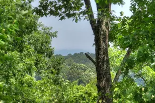 558 Tipton Springs Rd, Morganton, GA 30560 - Photo 58