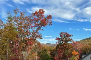 558 Tipton Springs Rd, Morganton, GA 30560 - Photo 56