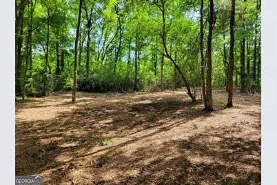 2200 Rest Haven Road, Yatesville, GA 31097 - Photo 2