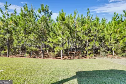 506 Outpost Way, Statesboro, GA 30458 - Photo 34