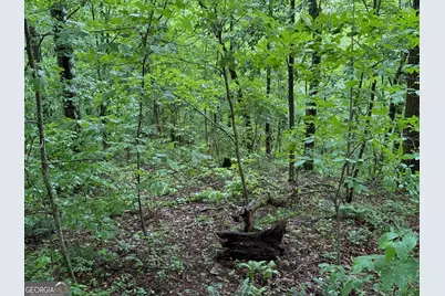 8 Black Bear Trail, Hiawassee, GA 30546 - Photo 1