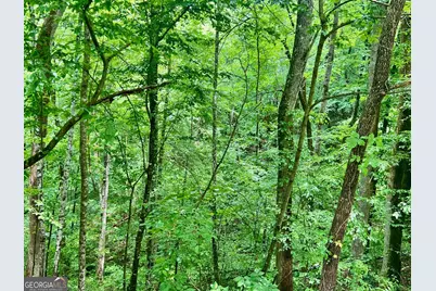 8 Black Bear Trail, Hiawassee, GA 30546 - Photo 12