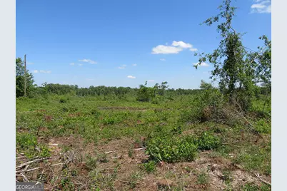 2 Goolsby Road, Ellaville, GA 31806 - Photo 1