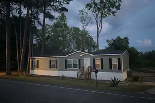 160 E Willow Creek, McRae-Helena, GA 31055 - Photo 2