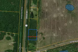 0 US Hwy 17, White Oak, GA 31568 - Photo 1