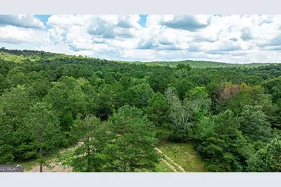 0 Wildcat Bridge Road, Royston, GA 30662 - Photo 18