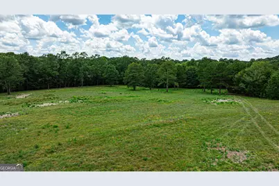 0 Wildcat Bridge Road, Royston, GA 30662 - Photo 16
