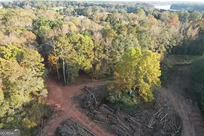 4009 Jersey Covington Road, Covington, GA 30014 - Photo 10