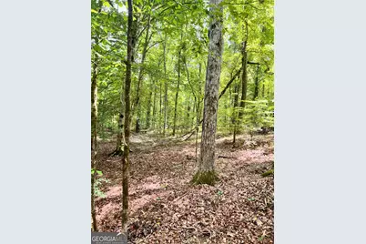 353 Retreat Trail, Lagrange, GA 30240 - Photo 2