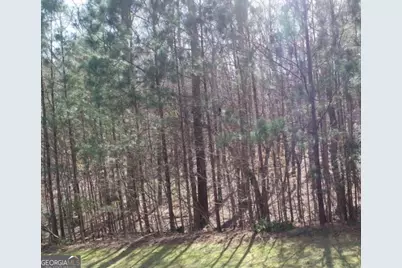 353 Retreat Trail, Lagrange, GA 30240 - Photo 16