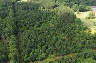 374 Luther Bailey Rd, Senoia, GA 30276 - Photo 6