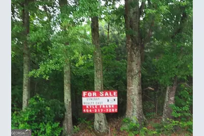 374 Luther Bailey Road, Senoia, GA 30276 - Photo 4