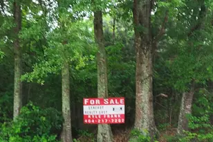 374 Luther Bailey Rd, Senoia, GA 30276 - Photo 4