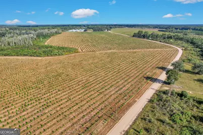 2000-4 Sellers Road NW, Baxley, GA 31513 - Photo 4