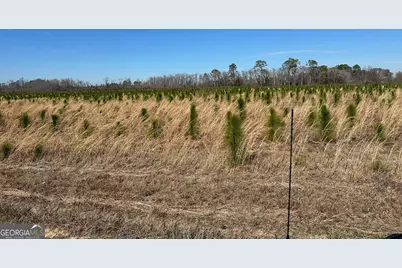 2000-4 Sellers Road NW, Baxley, GA 31513 - Photo 10