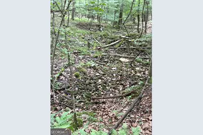 0 Walker Drive, Morganton, GA 30560 - Photo 34