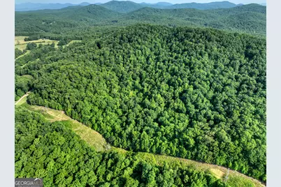 0 Walker Drive, Morganton, GA 30560 - Photo 26