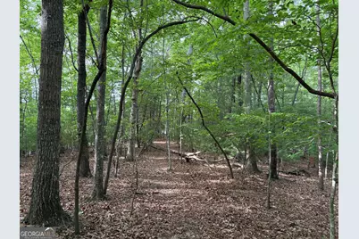 0 Walker Drive, Morganton, GA 30560 - Photo 32