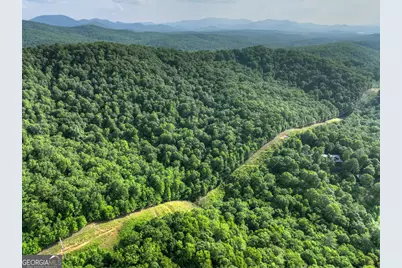 0 Walker Drive, Morganton, GA 30560 - Photo 14