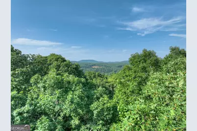 0 Walker Drive, Morganton, GA 30560 - Photo 8