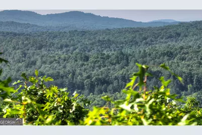 0 Walker Drive, Morganton, GA 30560 - Photo 1