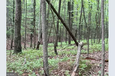 0 Walker Drive, Morganton, GA 30560 - Photo 30